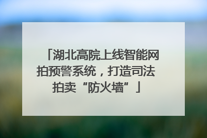 湖北高院上线智能网拍预警系统，打造司法拍卖“防火墙”