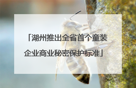湖州推出全省首个童装企业商业秘密保护标准