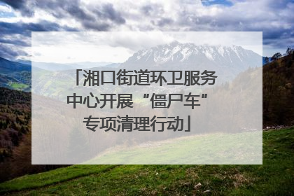 湘口街道环卫服务中心开展“僵尸车”专项清理行动