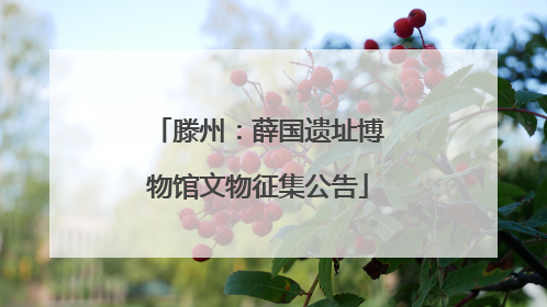 滕州：薛国遗址博物馆文物征集公告