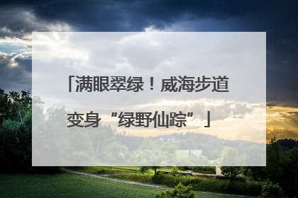 满眼翠绿！威海步道变身“绿野仙踪”