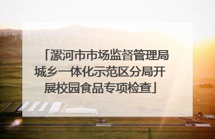 漯河市市场监督管理局城乡一体化示范区分局开展校园食品专项检查