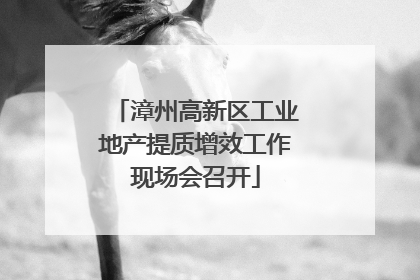 漳州高新区工业地产提质增效工作现场会召开