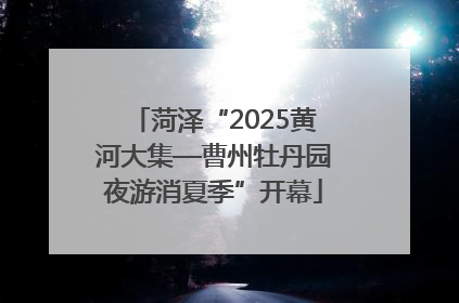 菏泽“2025黄河大集—曹州牡丹园夜游消夏季”开幕
