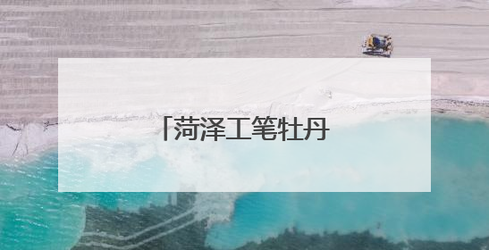 菏泽工笔牡丹小品远销海外
