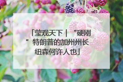 莹观天下｜“硬刚”特朗普的加州州长纽森何许人也