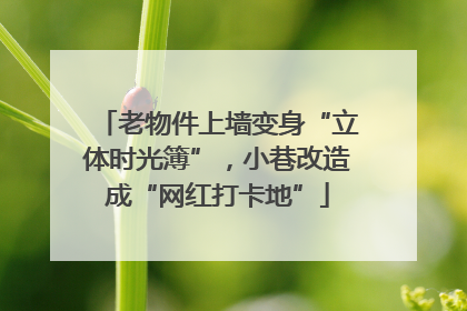 老物件上墙变身“立体时光簿”，小巷改造成“网红打卡地”