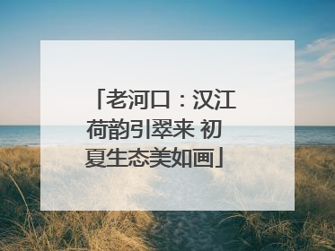 老河口：汉江荷韵引翠来 初夏生态美如画