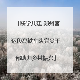 联学共建 郑州客运段高铁车队党员干部助力乡村振兴