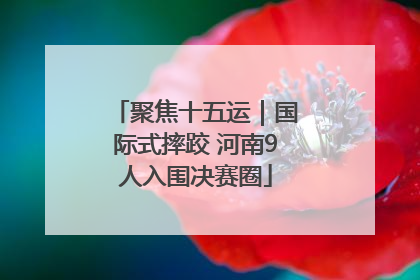 聚焦十五运｜国际式摔跤 河南9人入围决赛圈