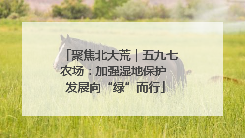 聚焦北大荒｜五九七农场：加强湿地保护 发展向“绿”而行