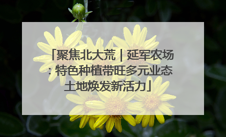 聚焦北大荒｜延军农场：特色种植带旺多元业态 土地焕发新活力