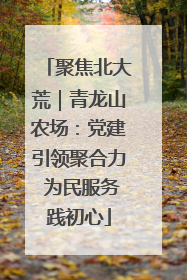 聚焦北大荒｜青龙山农场：党建引领聚合力 为民服务践初心