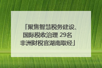 聚焦智慧税务建设、国际税收治理 29名非洲财税官湖南取经