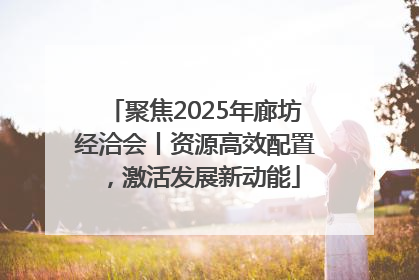 聚焦2025年廊坊经洽会丨资源高效配置，激活发展新动能