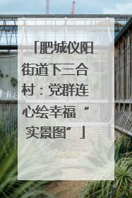 肥城仪阳街道下三合村：党群连心绘幸福“实景图”