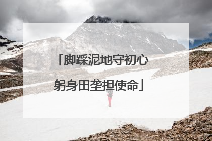 脚踩泥地守初心 躬身田垄担使命