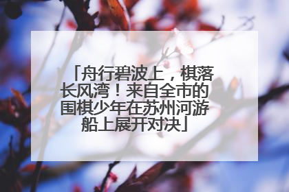 舟行碧波上，棋落长风湾！来自全市的围棋少年在苏州河游船上展开对决