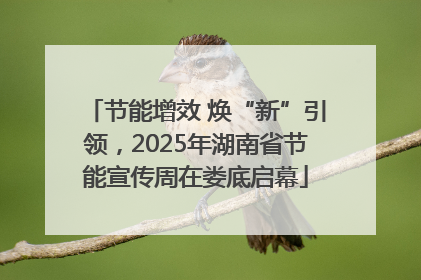 节能增效 焕“新”引领，2025年湖南省节能宣传周在娄底启幕
