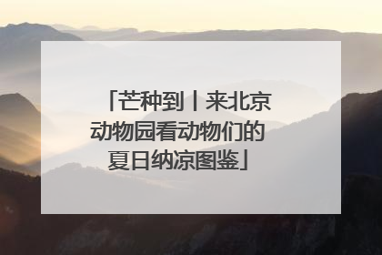 芒种到丨来北京动物园看动物们的夏日纳凉图鉴