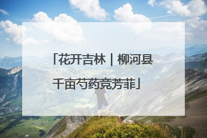 花开吉林｜柳河县千亩芍药竞芳菲