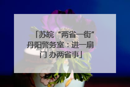 苏皖“两省一街”丹阳警务室：进一扇门 办两省事