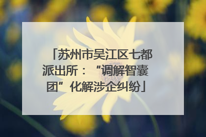 苏州市吴江区七都派出所：“调解智囊团”化解涉企纠纷
