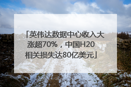 英伟达数据中心收入大涨超70%，中国H20相关损失达80亿美元