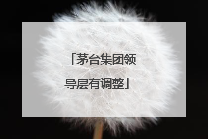 茅台集团领导层有调整