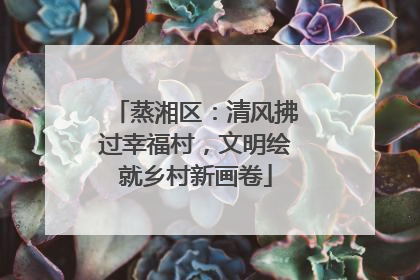 蒸湘区：清风拂过幸福村，文明绘就乡村新画卷