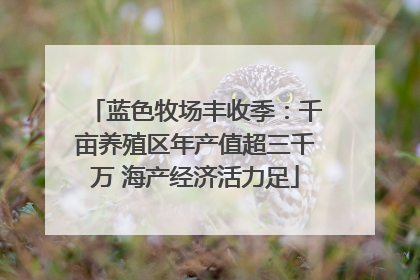 蓝色牧场丰收季：千亩养殖区年产值超三千万 海产经济活力足
