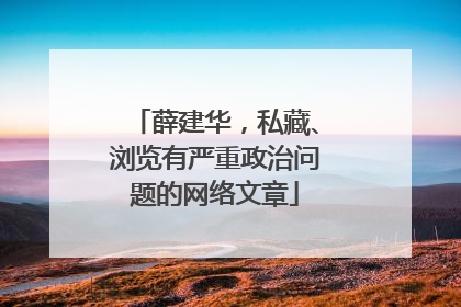 薛建华，私藏、浏览有严重政治问题的网络文章