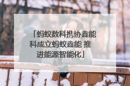 蚂蚁数科携协鑫能科成立蚂蚁鑫能 推进能源智能化