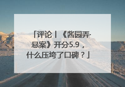 评论丨《酱园弄·悬案》开分5.9，什么压垮了口碑？
