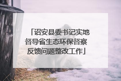 诏安县委书记实地督导省生态环保督察反馈问题整改工作