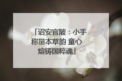 诏安官陂：小手称量本草韵 童心熔铸国粹魂