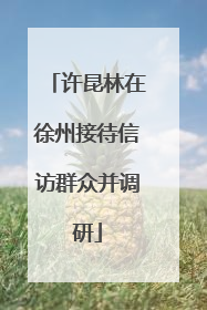 许昆林在徐州接待信访群众并调研