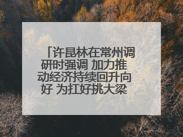 许昆林在常州调研时强调 加力推动经济持续回升向好 为扛好挑大梁责任多作贡献