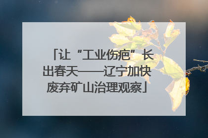 让“工业伤疤”长出春天——辽宁加快废弃矿山治理观察