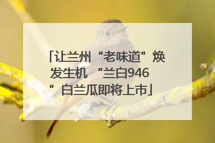 让兰州“老味道”焕发生机 “兰白946”白兰瓜即将上市