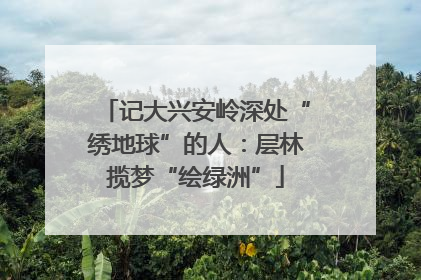 记大兴安岭深处“绣地球”的人：层林揽梦“绘绿洲”