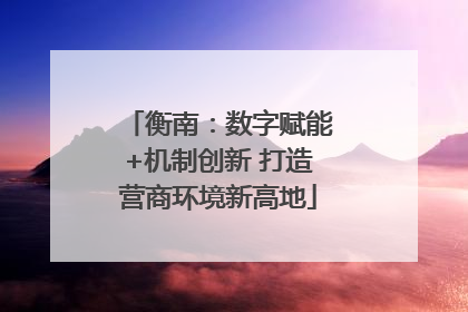 衡南：数字赋能+机制创新 打造营商环境新高地
