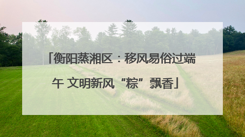 衡阳蒸湘区：移风易俗过端午 文明新风“粽”飘香