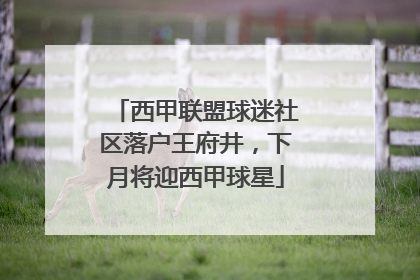 西甲联盟球迷社区落户王府井，下月将迎西甲球星