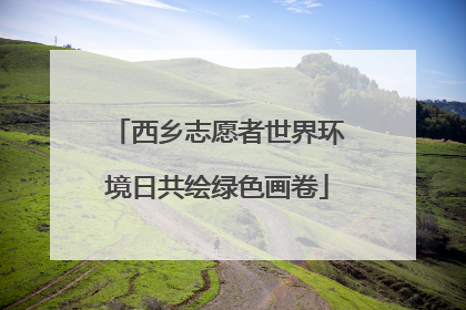 西乡志愿者世界环境日共绘绿色画卷