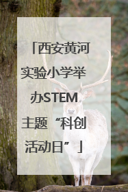 西安黄河实验小学举办STEM主题“科创活动日”