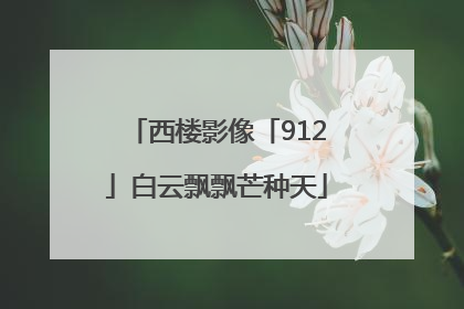 西楼影像「912」白云飘飘芒种天