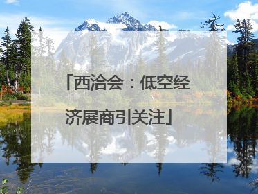 西洽会：低空经济展商引关注