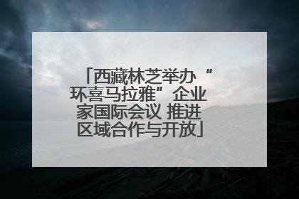 西藏林芝举办“环喜马拉雅”企业家国际会议 推进区域合作与开放