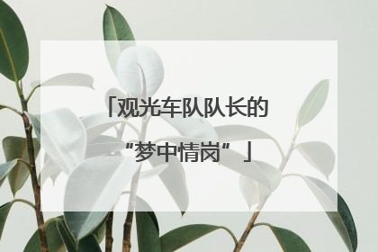 观光车队队长的“梦中情岗”